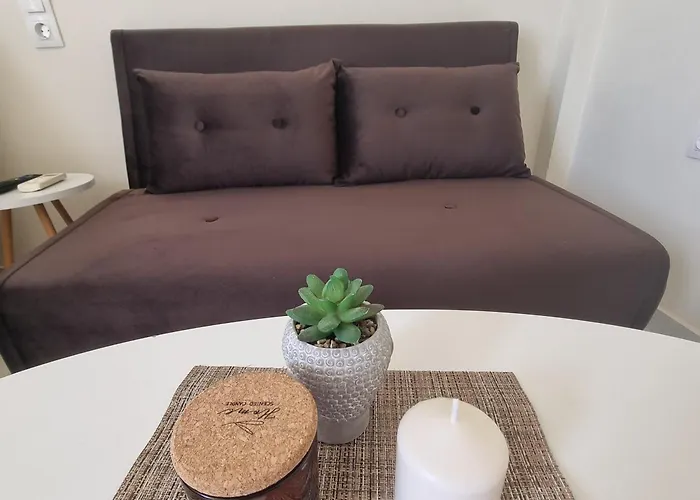 Rooftop Nest